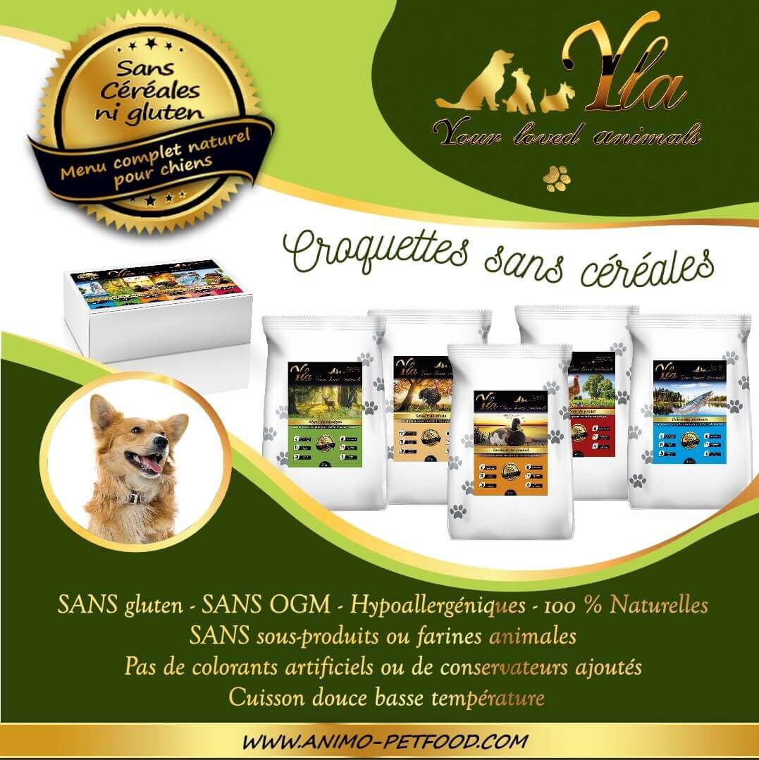 croquettes-sans-cereales chien-grain-free petfood